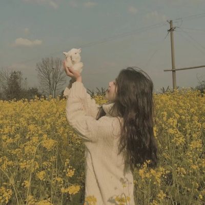 和学姐借书的故事，最后变成爱情小说